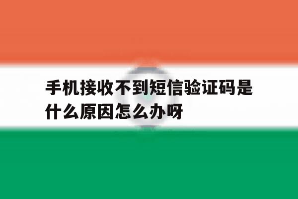 关于手机接收不到短信验证码是什么原因怎么办呀的信息 关于手机接收不到短信验证码是什么原因怎么办呀的信息
