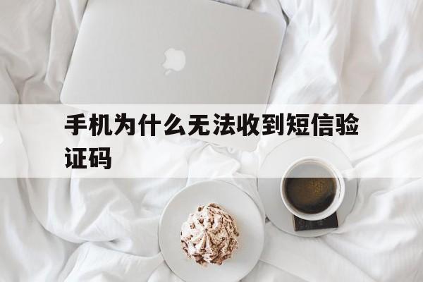 手机为什么无法收到短信验证码 手机为什么无法收到短信验证码