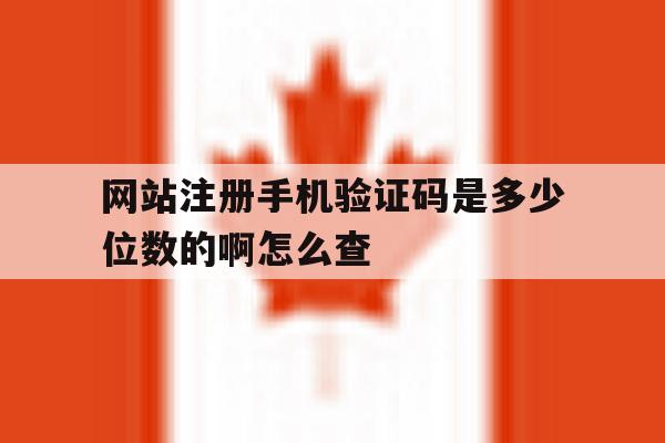 网站注册手机验证码是多少位数的啊怎么查
