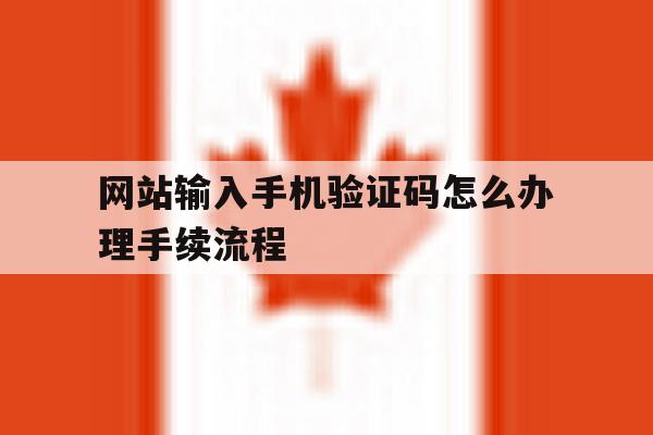 网站输入手机验证码怎么办理手续流程 网站输入手机验证码怎么办理手续流程
