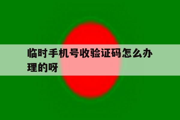 临时手机号收验证码怎么办理的呀 临时手机号收验证码怎么办理的呀