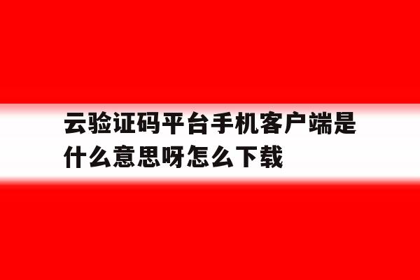 云验证码平台手机客户端是什么意思呀怎么下载的简单介绍 云验证码平台手机客户端是什么意思呀怎么下载的简单介绍