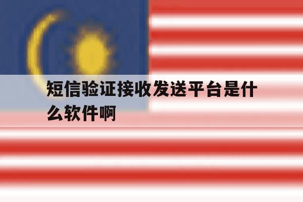 短信验证接收发送平台是什么软件啊 短信验证接收发送平台是什么软件啊