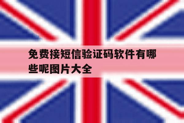 免费接短信验证码软件有哪些呢图片大全 免费接短信验证码软件有哪些呢图片大全