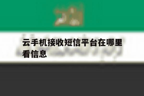 云手机接收短信平台在哪里看信息 云手机接收短信平台在哪里看信息