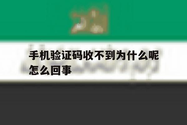 手机验证码收不到为什么呢怎么回事 手机验证码收不到为什么呢怎么回事