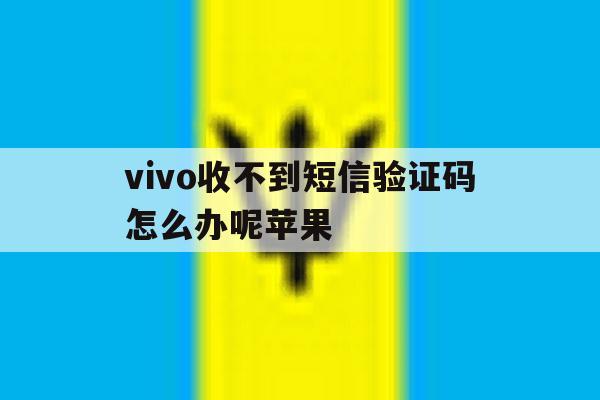 vivo收不到短信验证码怎么办呢苹果 vivo收不到短信验证码怎么办呢苹果