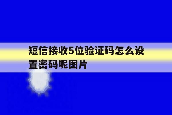 短信接收5位验证码怎么设置密码呢图片 短信接收5位验证码怎么设置密码呢图片