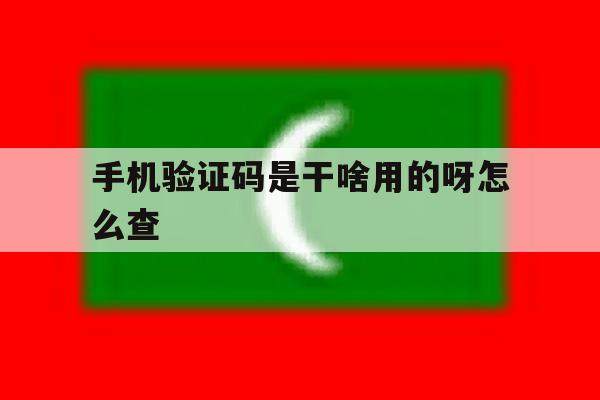 手机验证码是干啥用的呀怎么查 手机验证码是干啥用的呀怎么查