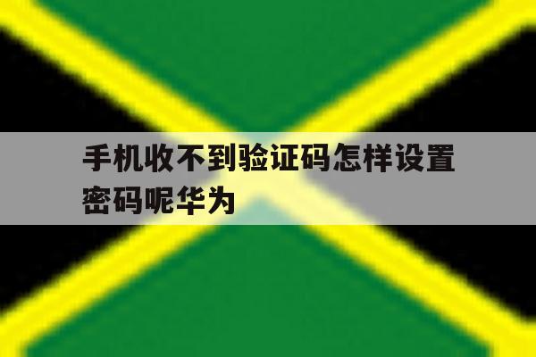 手机收不到验证码怎样设置密码呢华为 手机收不到验证码怎样设置密码呢华为