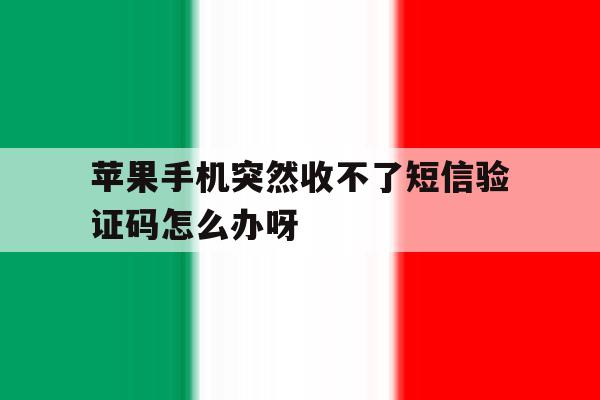 苹果手机突然收不了短信验证码怎么办呀 苹果手机突然收不了短信验证码怎么办呀