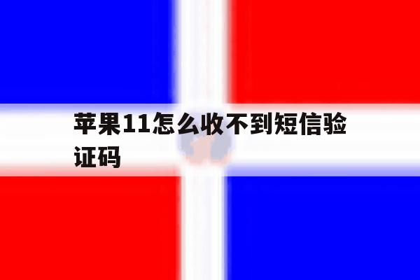 苹果11怎么收不到短信验证码 苹果11怎么收不到短信验证码