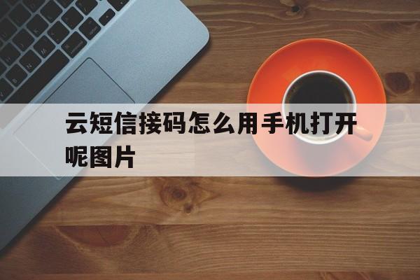 云短信接码怎么用手机打开呢图片 云短信接码怎么用手机打开呢图片