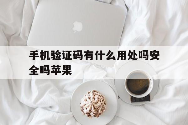 手机验证码有什么用处吗安全吗苹果 手机验证码有什么用处吗安全吗苹果