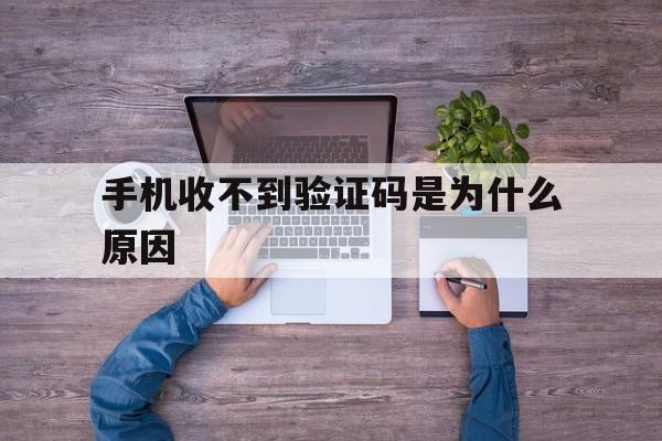 手机收不到验证码是为什么原因 手机收不到验证码是为什么原因