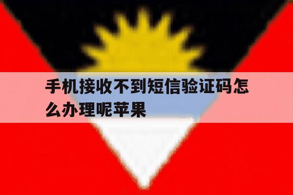 手机接收不到短信验证码怎么办理呢苹果 手机接收不到短信验证码怎么办理呢苹果