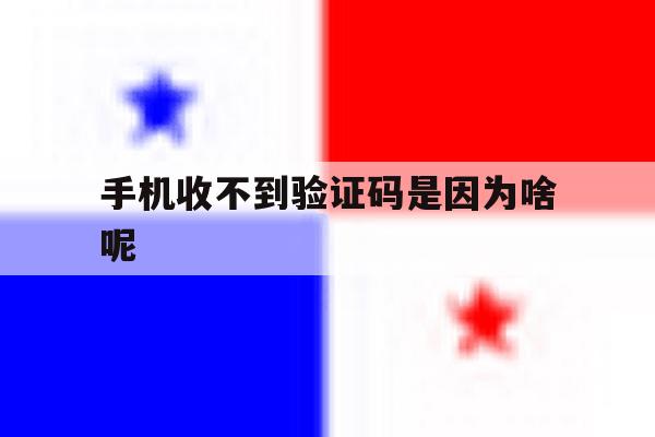 手机收不到验证码是因为啥呢 手机收不到验证码是因为啥呢