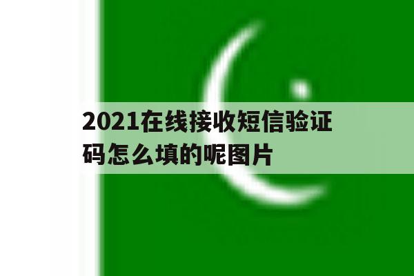 2021在线接收短信验证码怎么填的呢图片 2021在线接收短信验证码怎么填的呢图片