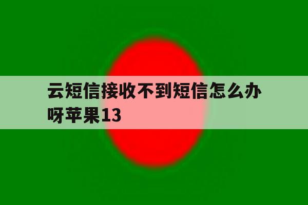 云短信接收不到短信怎么办呀苹果13的简单介绍 云短信接收不到短信怎么办呀苹果13的简单介绍