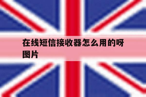 在线短信接收器怎么用的呀图片 在线短信接收器怎么用的呀图片