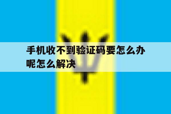 手机收不到验证码要怎么办呢怎么解决 手机收不到验证码要怎么办呢怎么解决