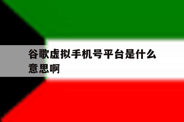 谷歌虚拟手机号平台是什么意思啊 谷歌虚拟手机号平台是什么意思啊