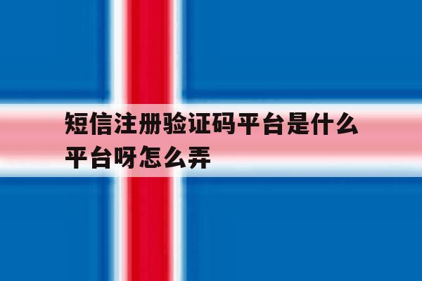 短信注册验证码平台是什么平台呀怎么弄 短信注册验证码平台是什么平台呀怎么弄