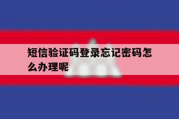 短信验证码登录忘记密码怎么办理呢