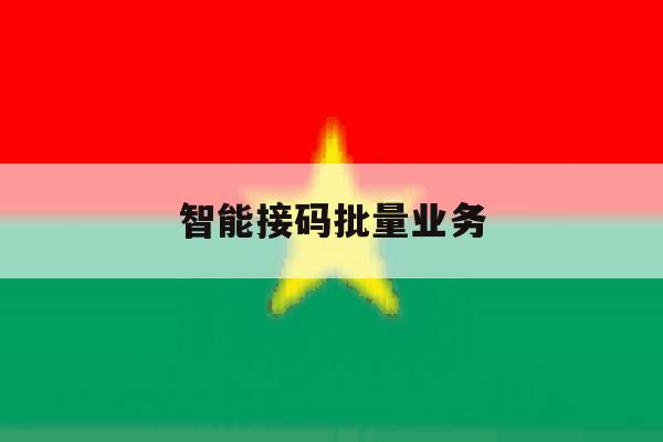 智能接码批量业务 智能接码批量业务