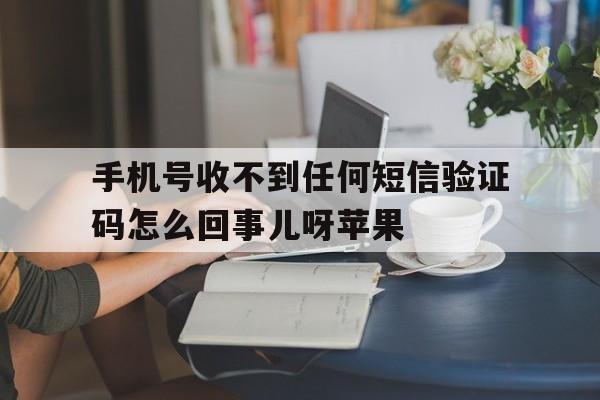 手机号收不到任何短信验证码怎么回事儿呀苹果的简单介绍 手机号收不到任何短信验证码怎么回事儿呀苹果的简单介绍
