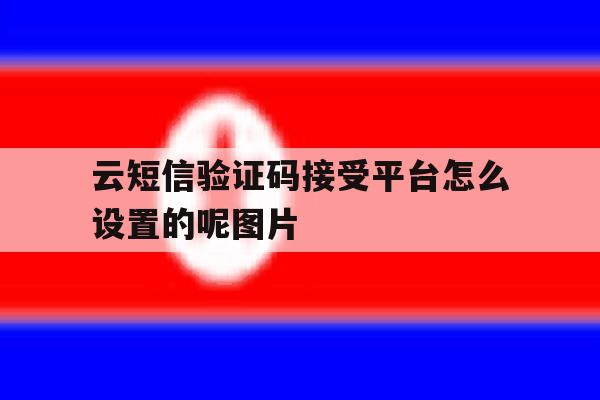 云短信验证码接受平台怎么设置的呢图片的简单介绍 云短信验证码接受平台怎么设置的呢图片的简单介绍