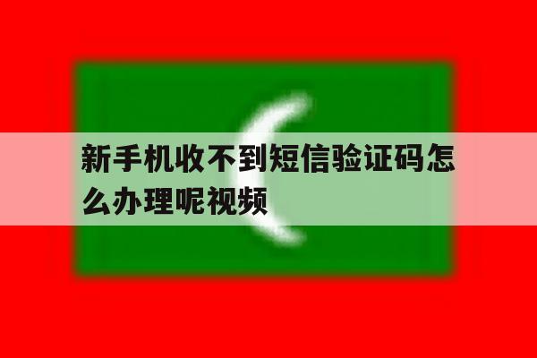 新手机收不到短信验证码怎么办理呢视频 新手机收不到短信验证码怎么办理呢视频