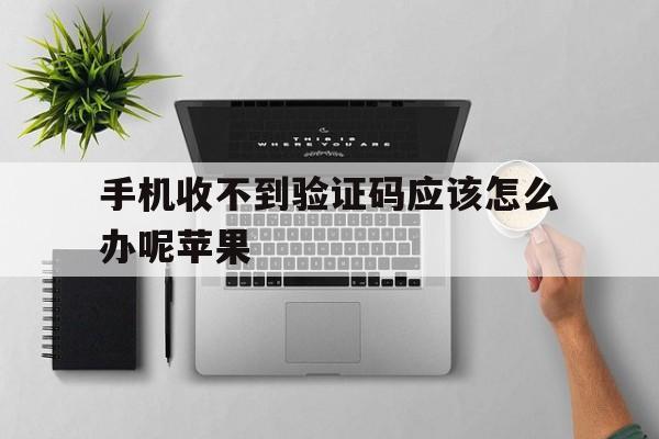 手机收不到验证码应该怎么办呢苹果 手机收不到验证码应该怎么办呢苹果
