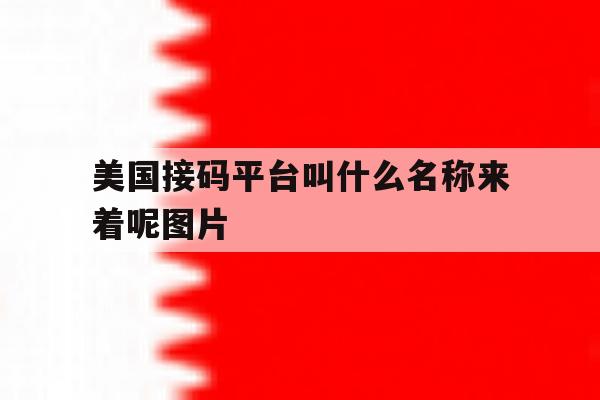 美国接码平台叫什么名称来着呢图片 美国接码平台叫什么名称来着呢图片