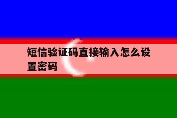 短信验证码直接输入怎么设置密码 短信验证码直接输入怎么设置密码