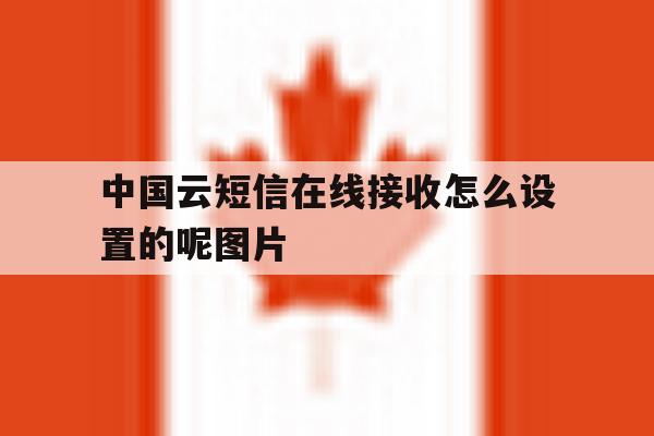 包含中国云短信在线接收怎么设置的呢图片的词条 包含中国云短信在线接收怎么设置的呢图片的词条