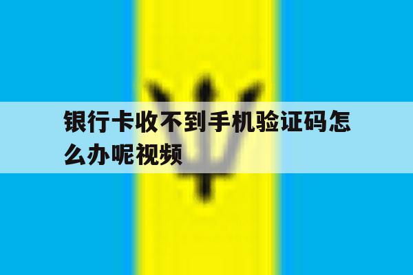 银行卡收不到手机验证码怎么办呢视频 银行卡收不到手机验证码怎么办呢视频