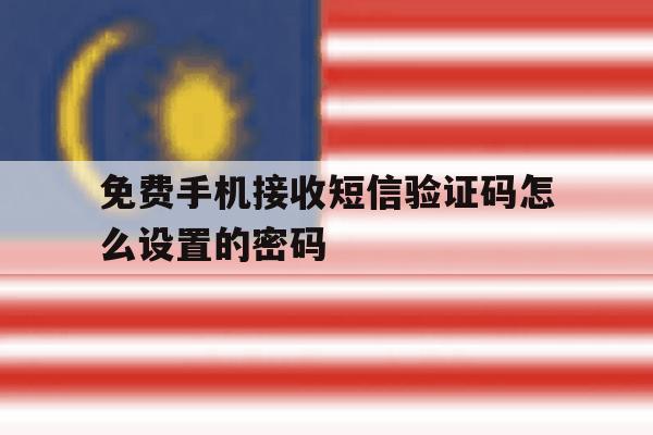 免费手机接收短信验证码怎么设置的密码 免费手机接收短信验证码怎么设置的密码