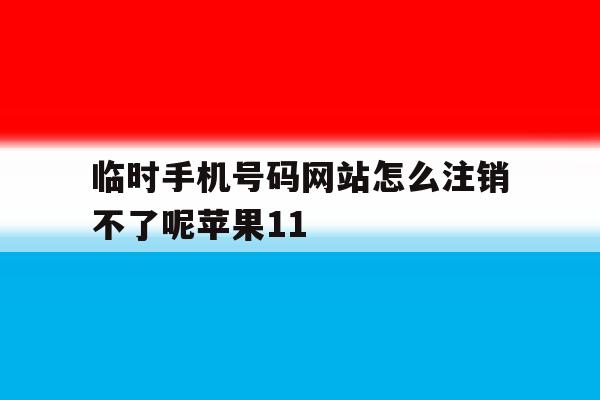 临时手机号码网站怎么注销不了呢苹果11的简单介绍 临时手机号码网站怎么注销不了呢苹果11的简单介绍