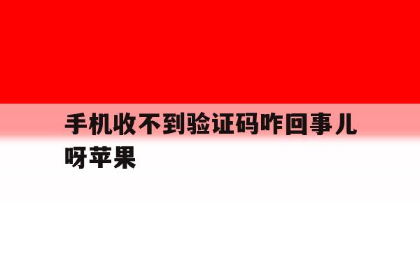 手机收不到验证码咋回事儿呀苹果 手机收不到验证码咋回事儿呀苹果