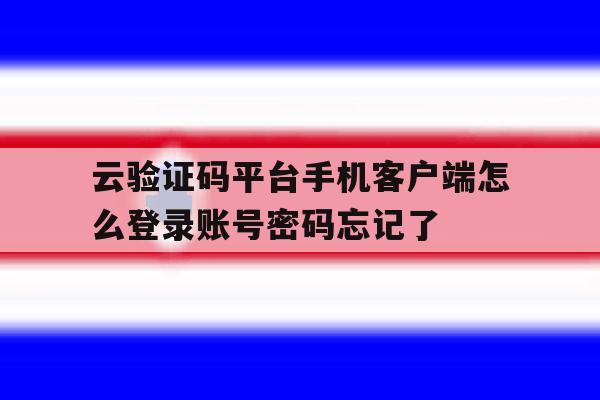 云验证码平台手机客户端怎么登录账号密码忘记了的简单介绍