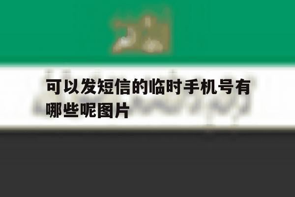 可以发短信的临时手机号有哪些呢图片 可以发短信的临时手机号有哪些呢图片
