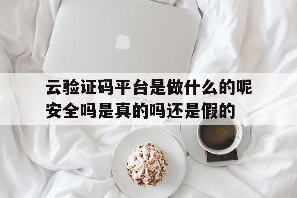 云验证码平台是做什么的呢安全吗是真的吗还是假的的简单介绍 云验证码平台是做什么的呢安全吗是真的吗还是假的的简单介绍