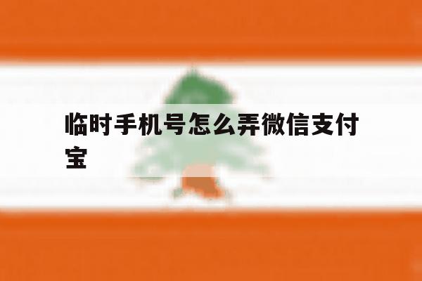 临时手机号怎么弄微信支付宝 临时手机号怎么弄微信支付宝