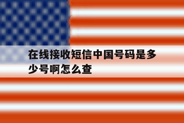 在线接收短信中国号码是多少号啊怎么查 在线接收短信中国号码是多少号啊怎么查