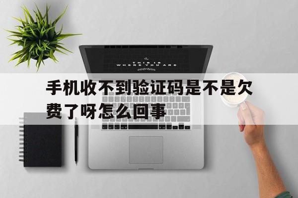 手机收不到验证码是不是欠费了呀怎么回事 手机收不到验证码是不是欠费了呀怎么回事