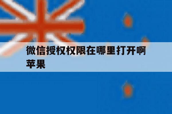 微信授权权限在哪里打开啊苹果 微信授权权限在哪里打开啊苹果