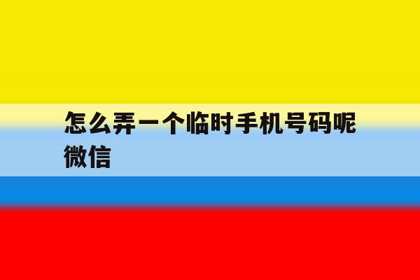 包含怎么弄一个临时手机号码呢微信的词条 包含怎么弄一个临时手机号码呢微信的词条