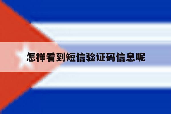 怎样看到短信验证码信息呢 怎样看到短信验证码信息呢