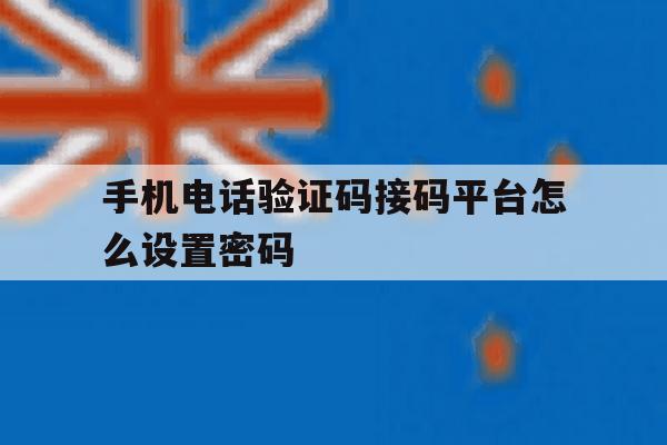 手机电话验证码接码平台怎么设置密码 手机电话验证码接码平台怎么设置密码